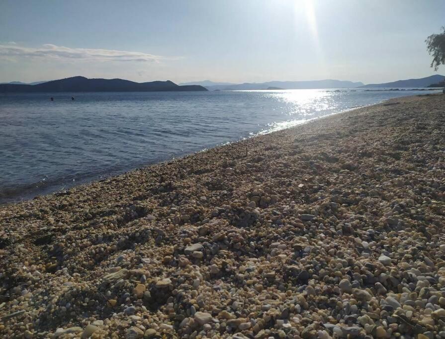 Το Σπίτι Της Μαργαρίτας Στην Παραλία Villa Nea Styra Bagian luar foto